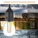 AV-713-5 Waterproof String Light  5m + 3m Extra + 10x Decorative Bulbs S14-E27-2W 2700K