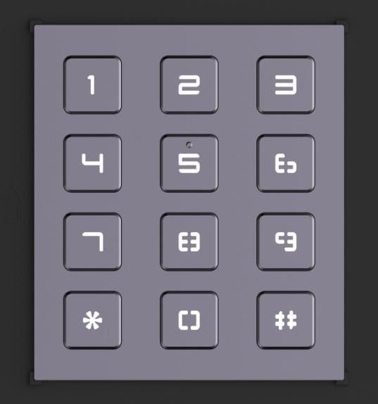 DS-KD-KP Module clavier de la station de porte modulaire