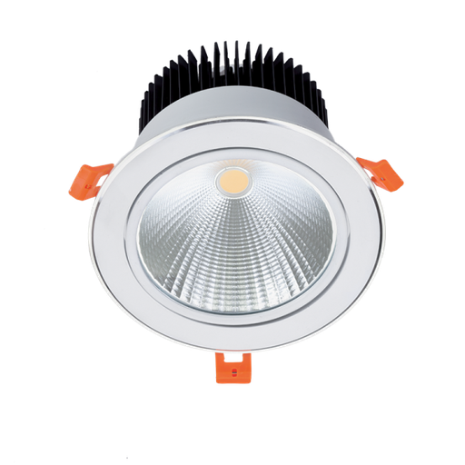 [RDL60COB] DOWNLIGHT LED RDL60COB 20W 230V 4000K 60° WIT