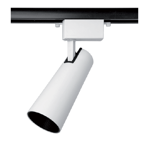 TL2025 RAILVERLICHTING 23W 2-LIJNS 24° WIT